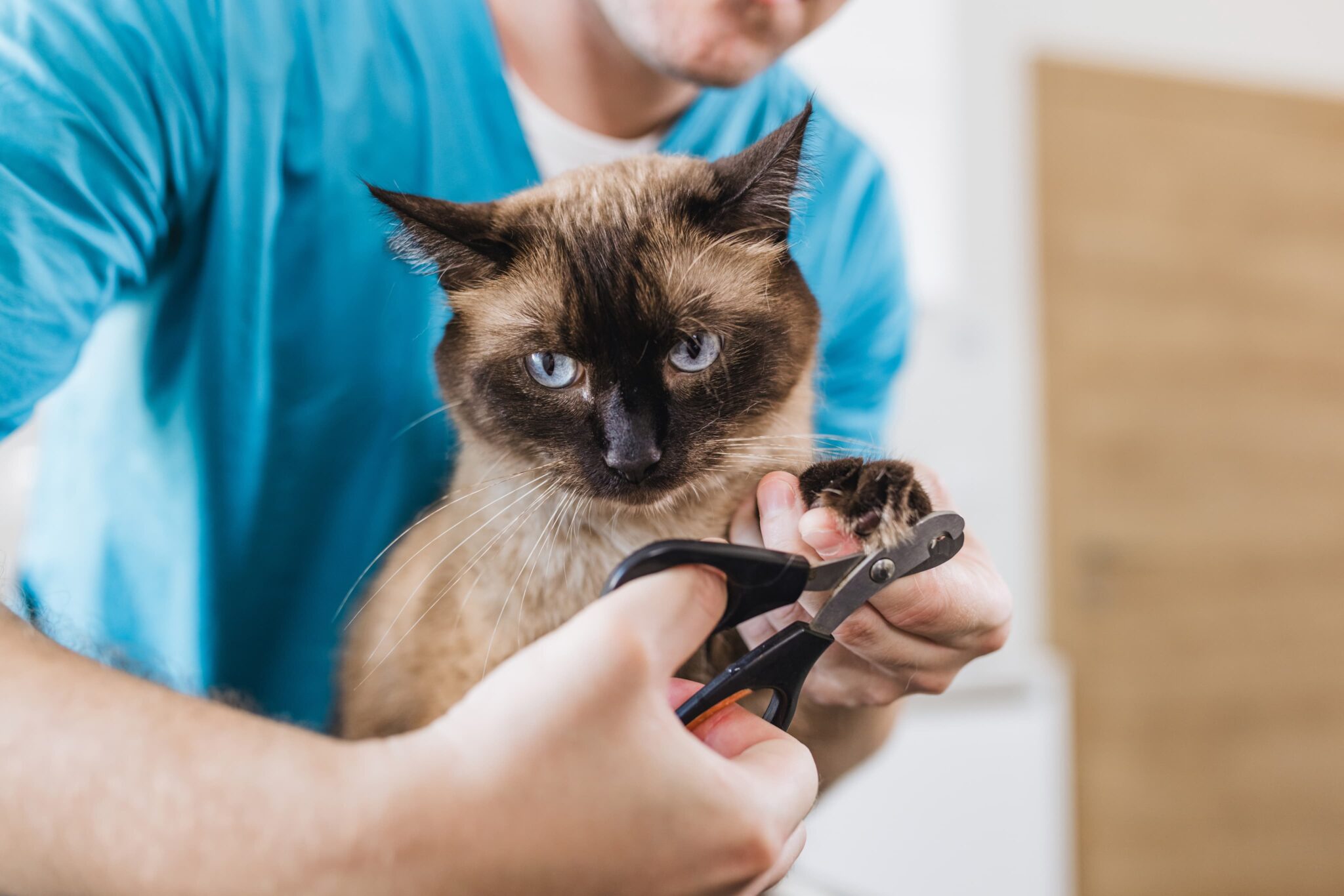 Cordova Station Animal Hospital